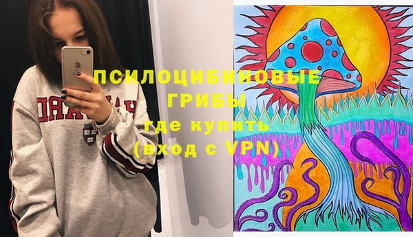 прущие грибы Краснослободск